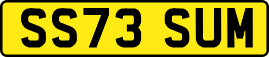 SS73SUM