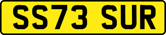 SS73SUR