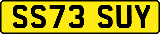 SS73SUY