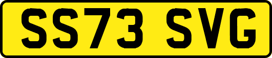 SS73SVG