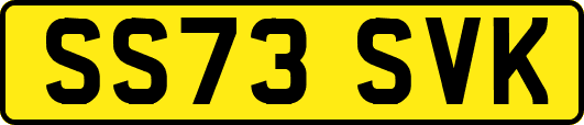 SS73SVK