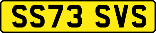 SS73SVS