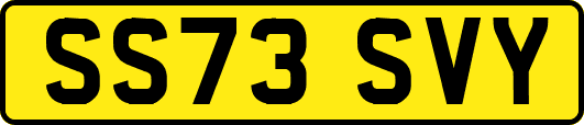 SS73SVY