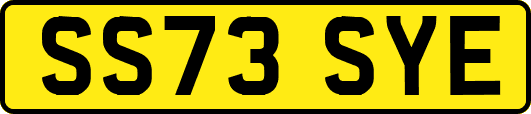 SS73SYE