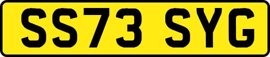 SS73SYG
