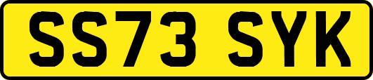 SS73SYK