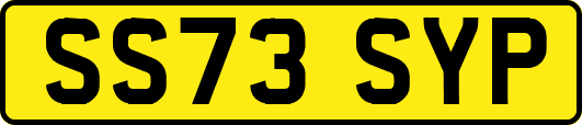 SS73SYP