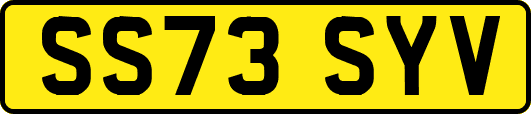 SS73SYV