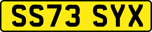 SS73SYX