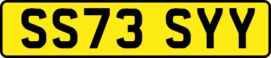 SS73SYY