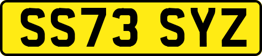 SS73SYZ