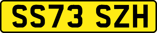 SS73SZH