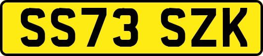 SS73SZK