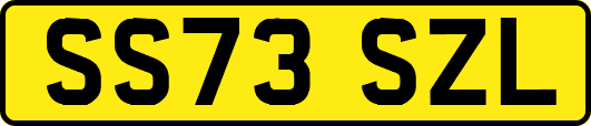 SS73SZL