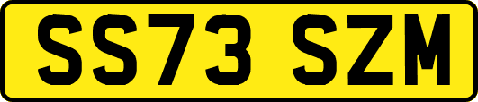 SS73SZM