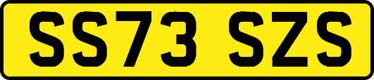 SS73SZS