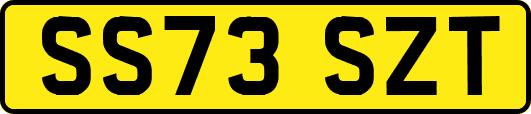 SS73SZT