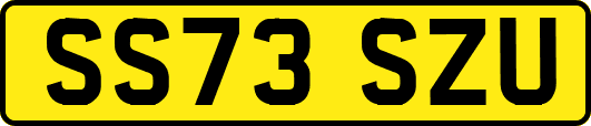 SS73SZU