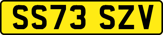 SS73SZV