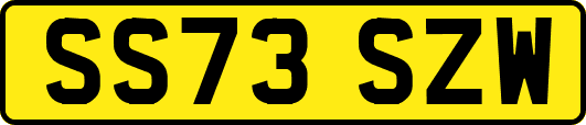 SS73SZW