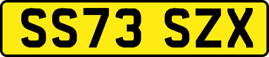 SS73SZX