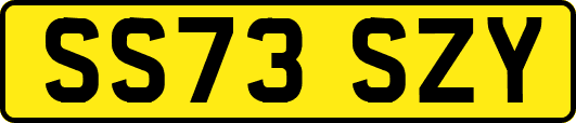 SS73SZY