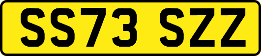 SS73SZZ