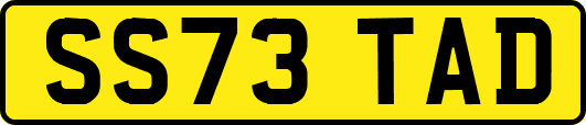 SS73TAD