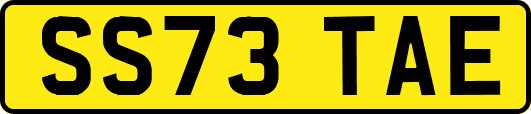 SS73TAE