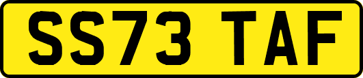 SS73TAF