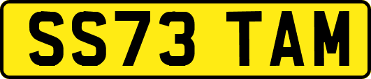 SS73TAM