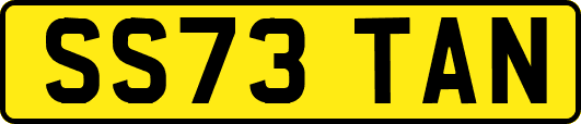 SS73TAN