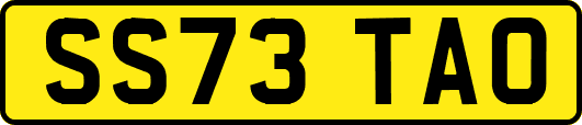 SS73TAO