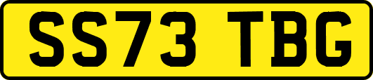 SS73TBG