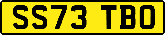 SS73TBO