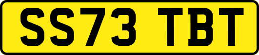 SS73TBT