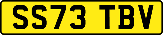 SS73TBV