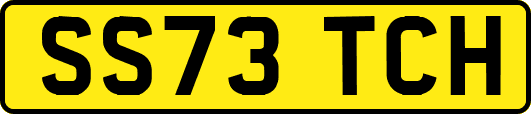 SS73TCH