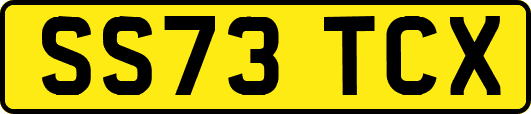 SS73TCX
