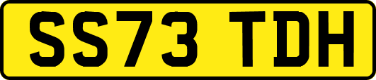 SS73TDH