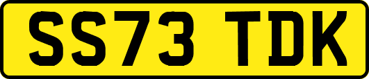 SS73TDK