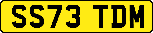 SS73TDM