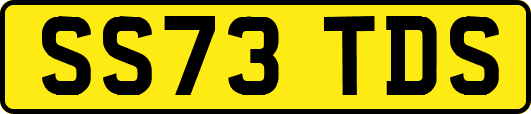 SS73TDS