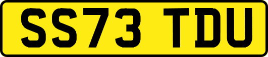 SS73TDU
