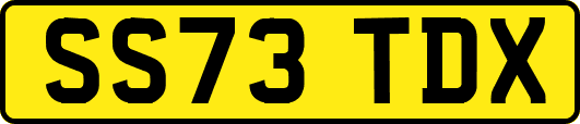 SS73TDX
