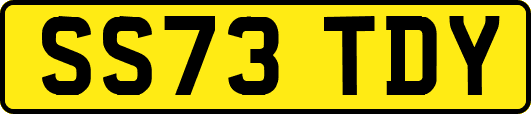 SS73TDY
