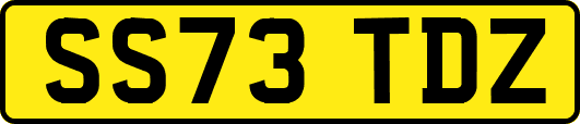 SS73TDZ