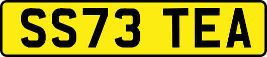 SS73TEA