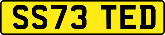 SS73TED