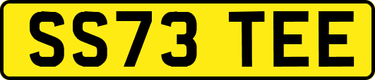 SS73TEE